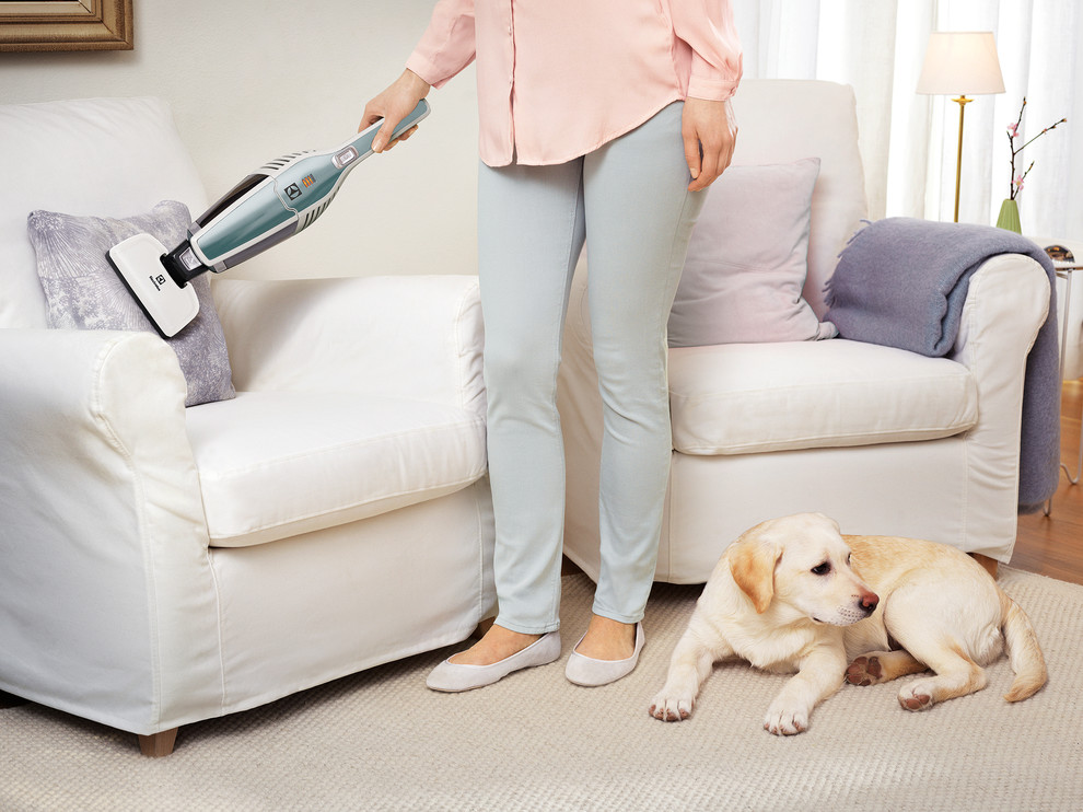 Electrolux Ergorapido Spring Edition