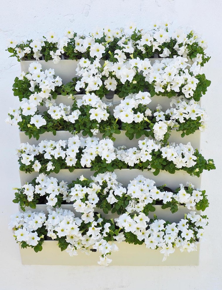 Стена из цветов своими руками. Модуль GREEN COVER 21