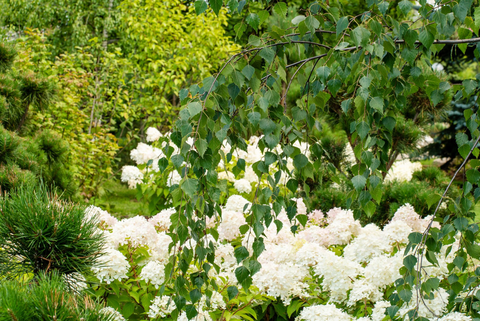 Обложка проекта: Легенды Крыма