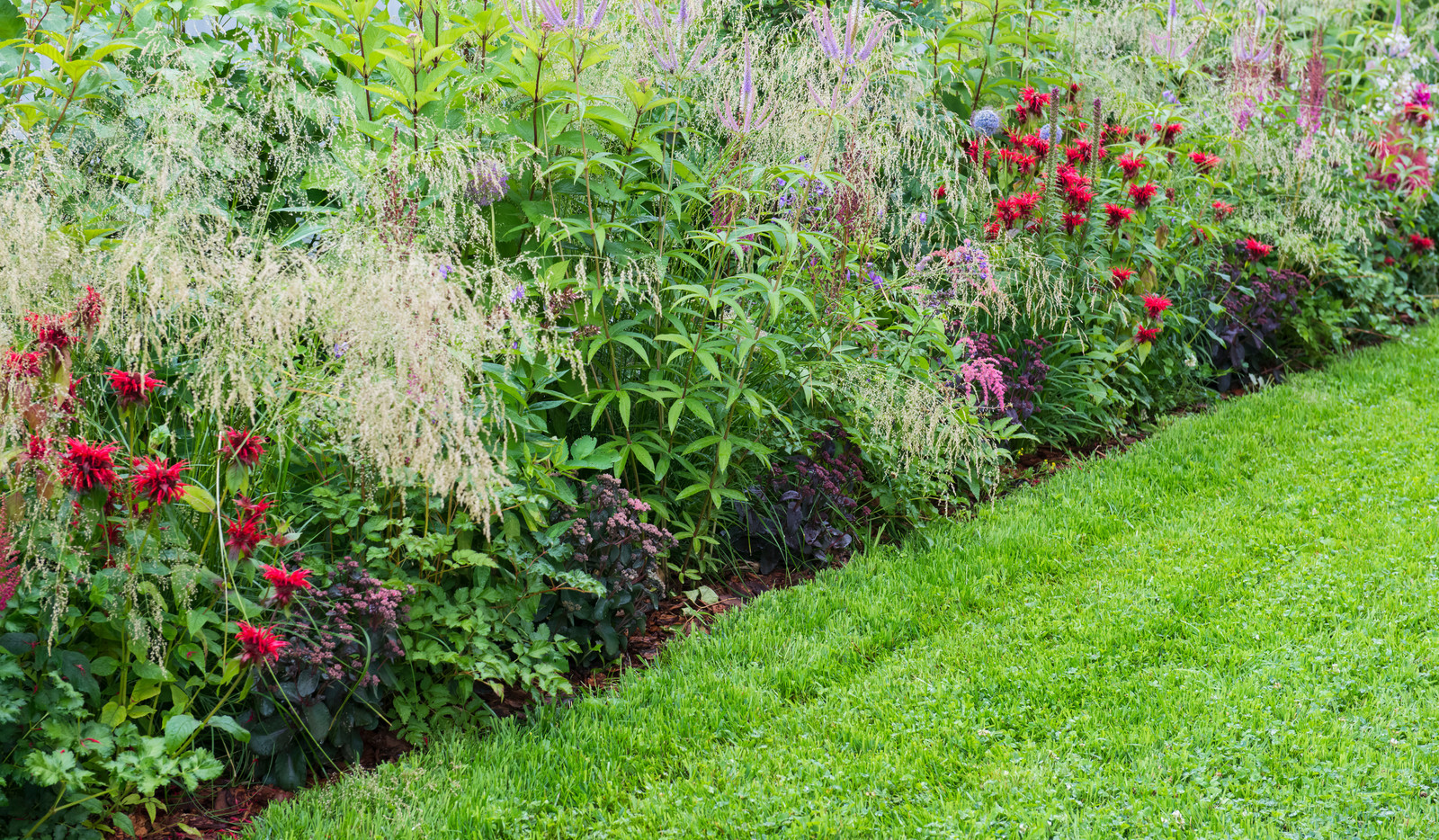 "Горячий" бордюр из многолетников