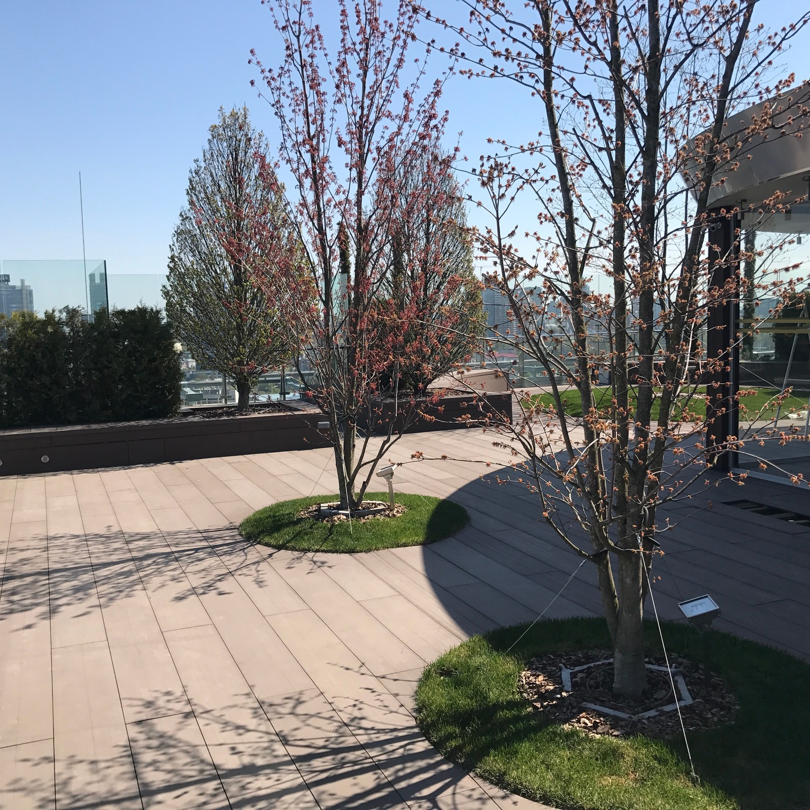 Парк на крыше жилого высотного здания.