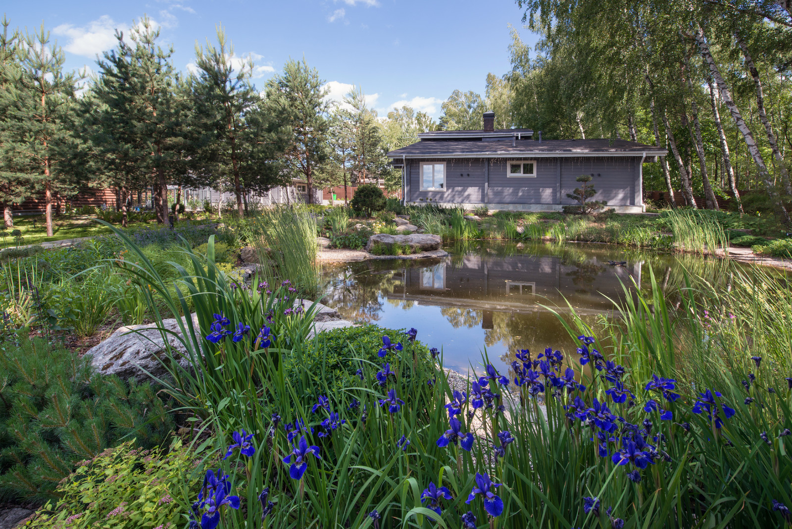 Озеро в лесу. Посёлок Приволье.