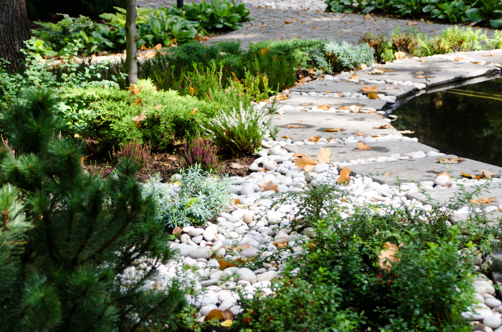 Глянцевый лес