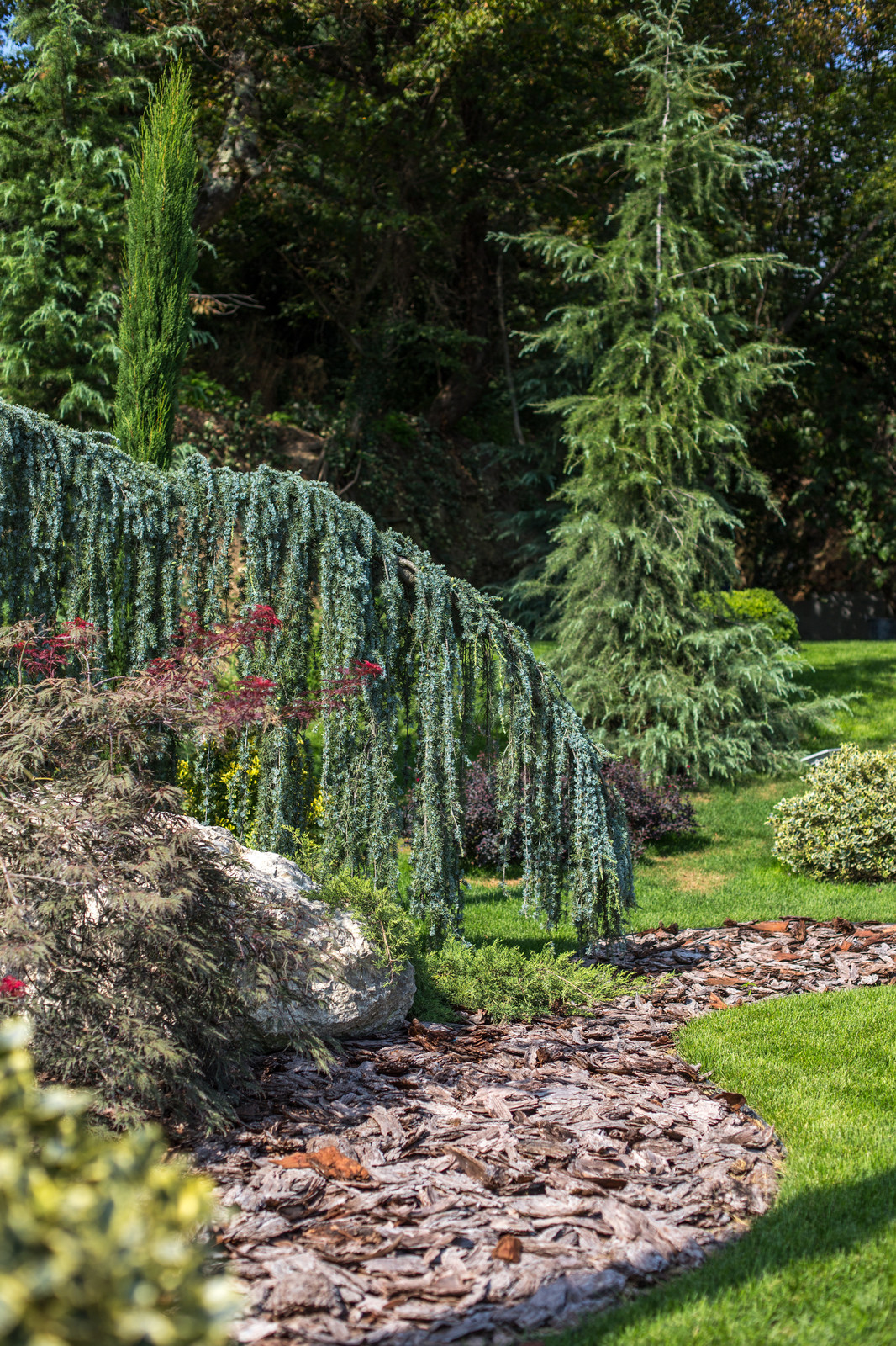 Ландшафтный Дизайн Олимпийский Сочи