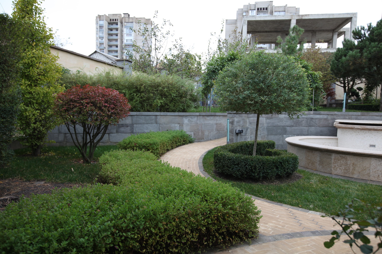 Итальянский сад с пиньями в городе