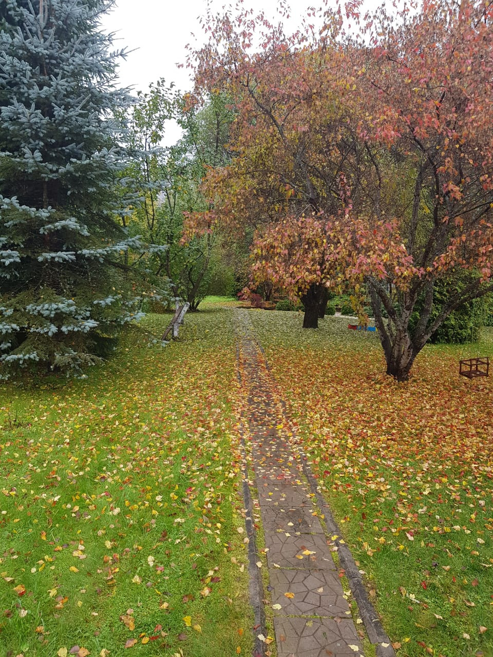 Сады по моим проектам.