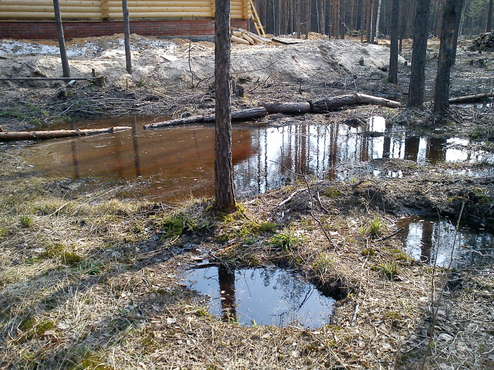 Лесная сказка Марий Эл. Сад в стиле Naturgarden