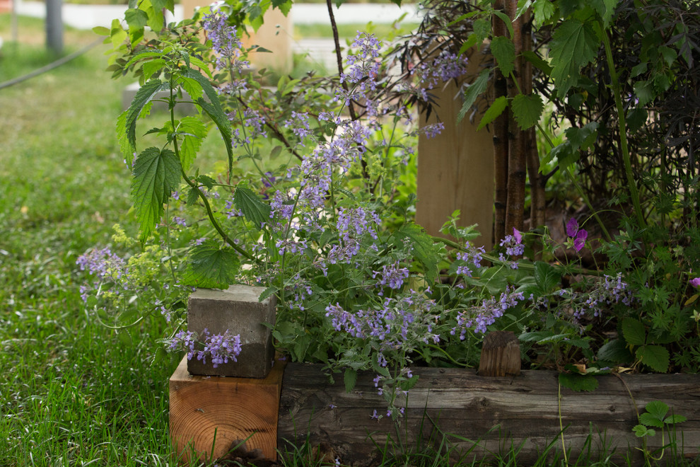 Фотосъёмка сада   Mark  Eveleigh(+Gigi Cameron) на   MoscowFlowerShow2017