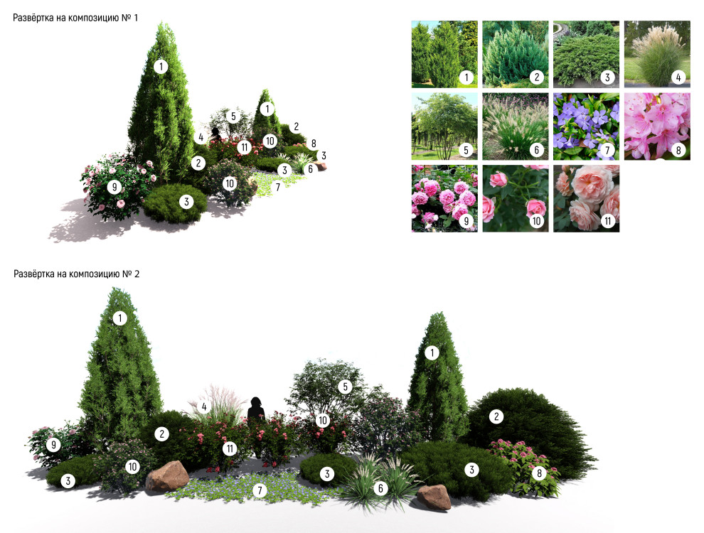 Розовое утро