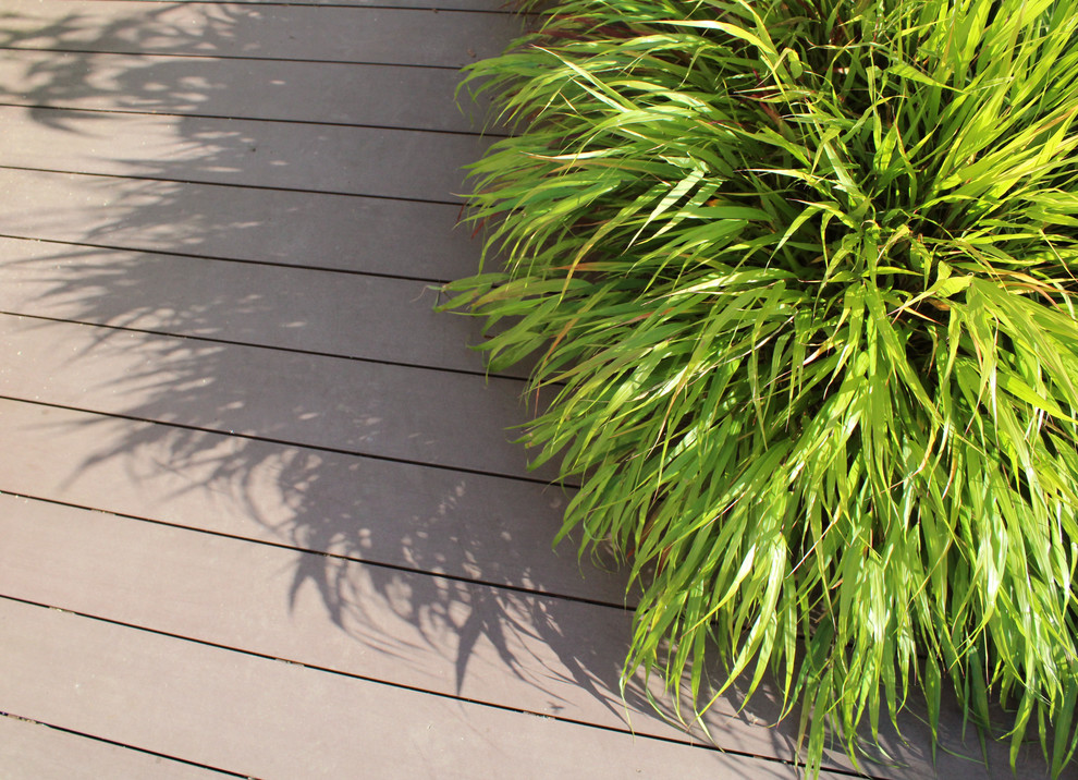 Запорожское