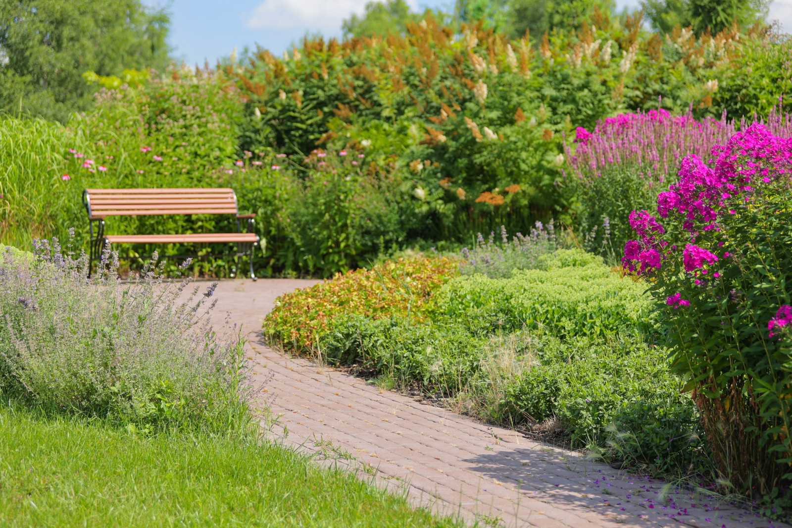 Якшино. Осень 2019