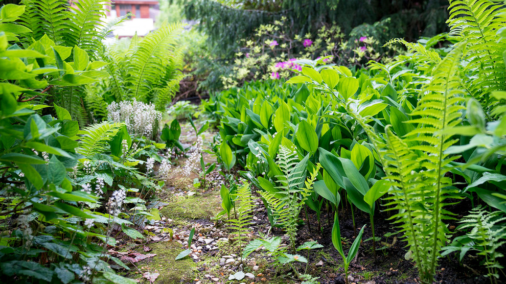 Сад с японским характером в КП "Ландшафт", Усово 2010 г