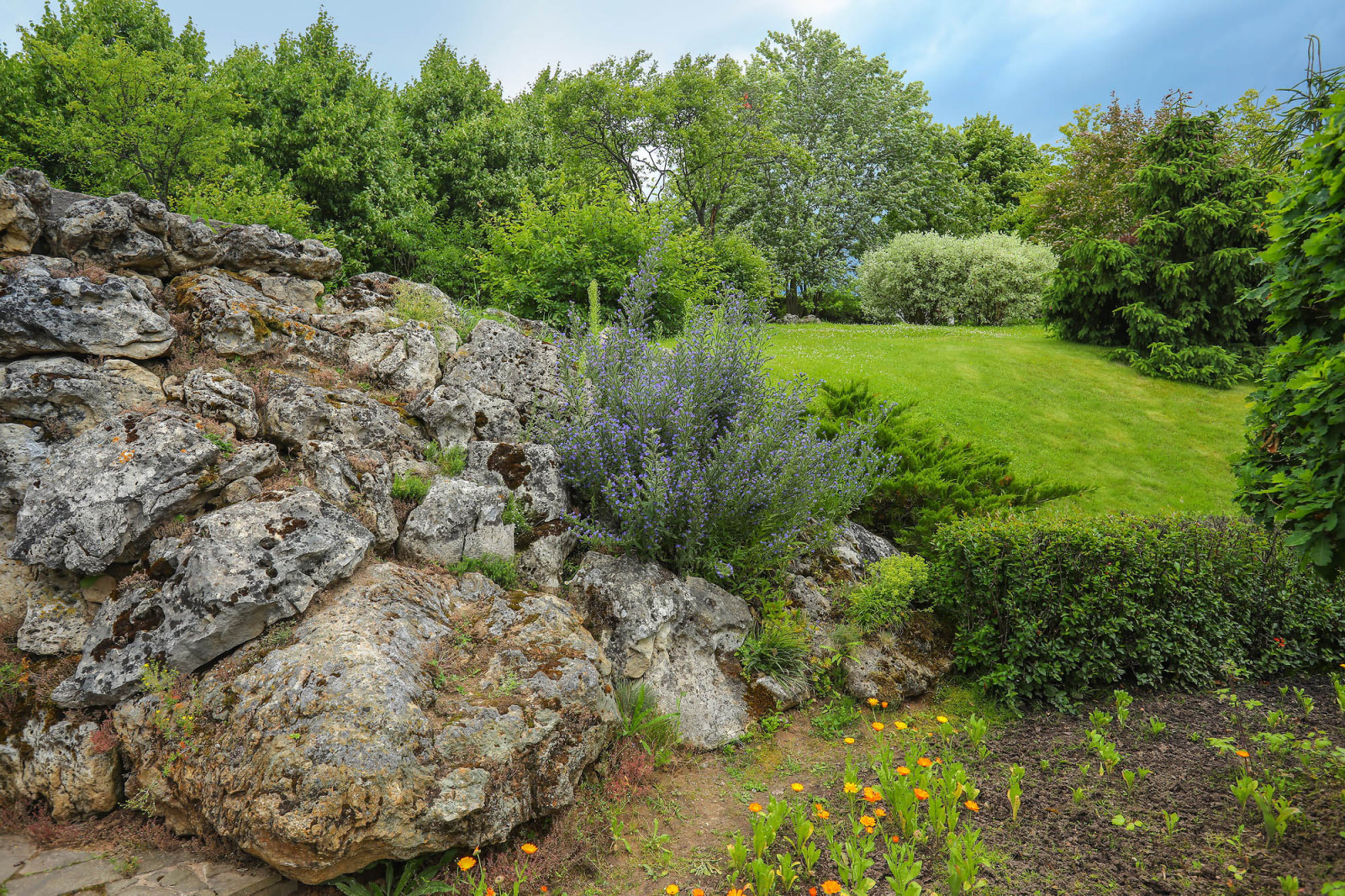 Усадьба Ореховно, Псковская область