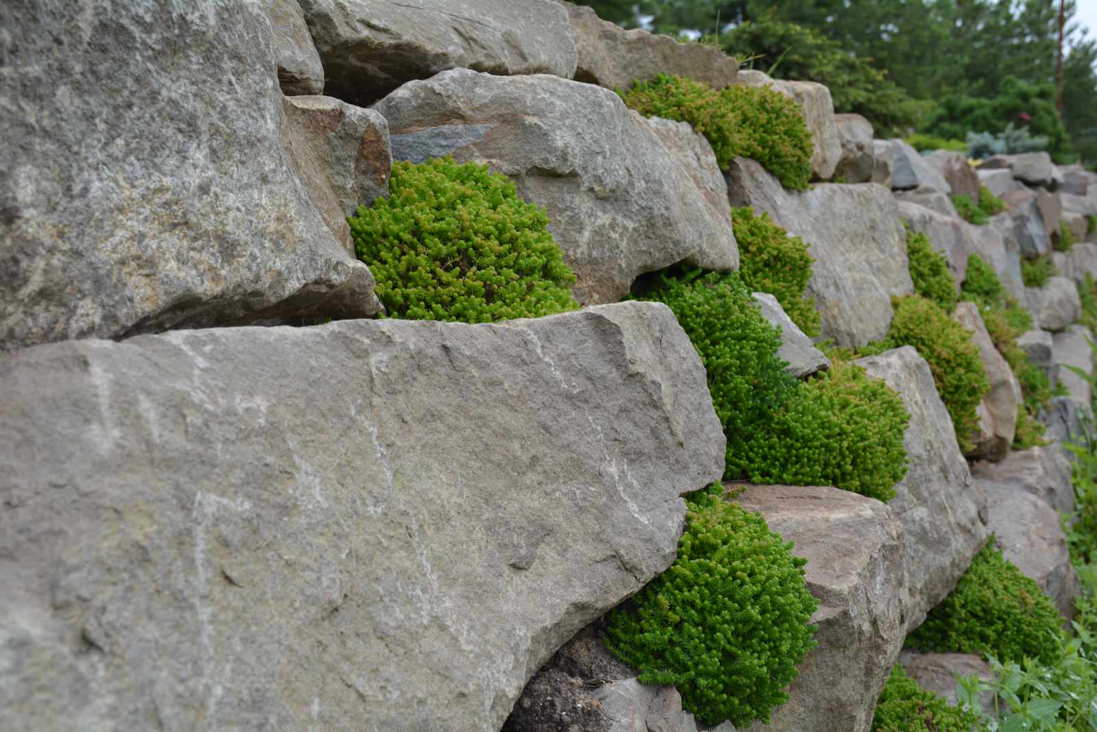 Ново-Николино