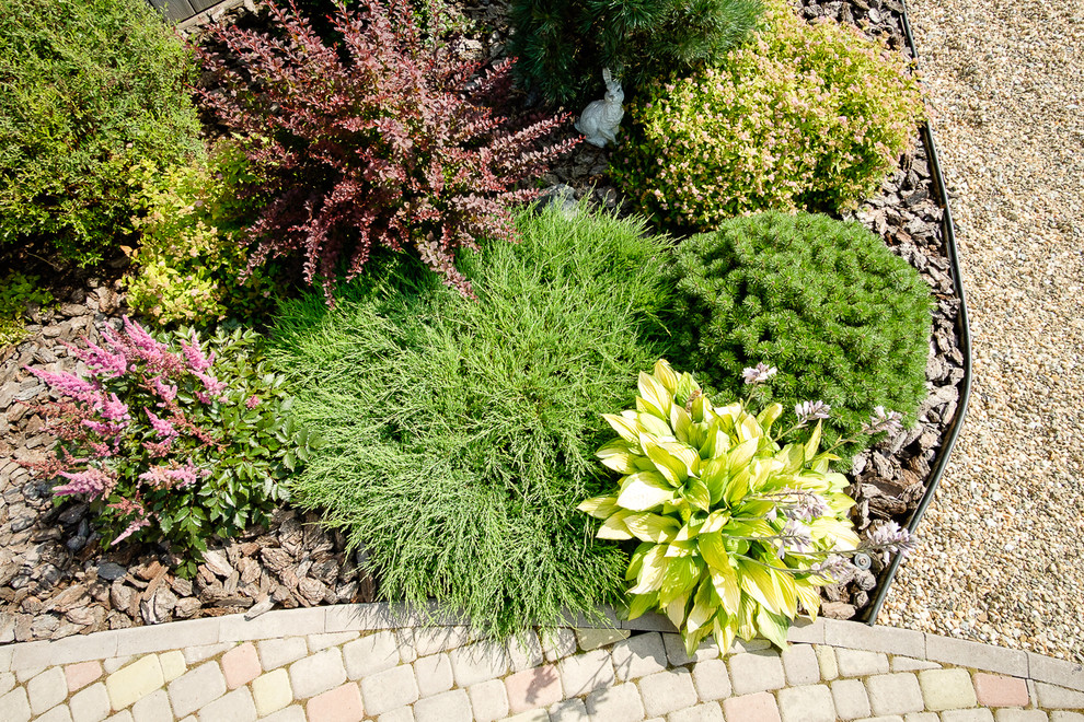 Сад с зеленой крышей