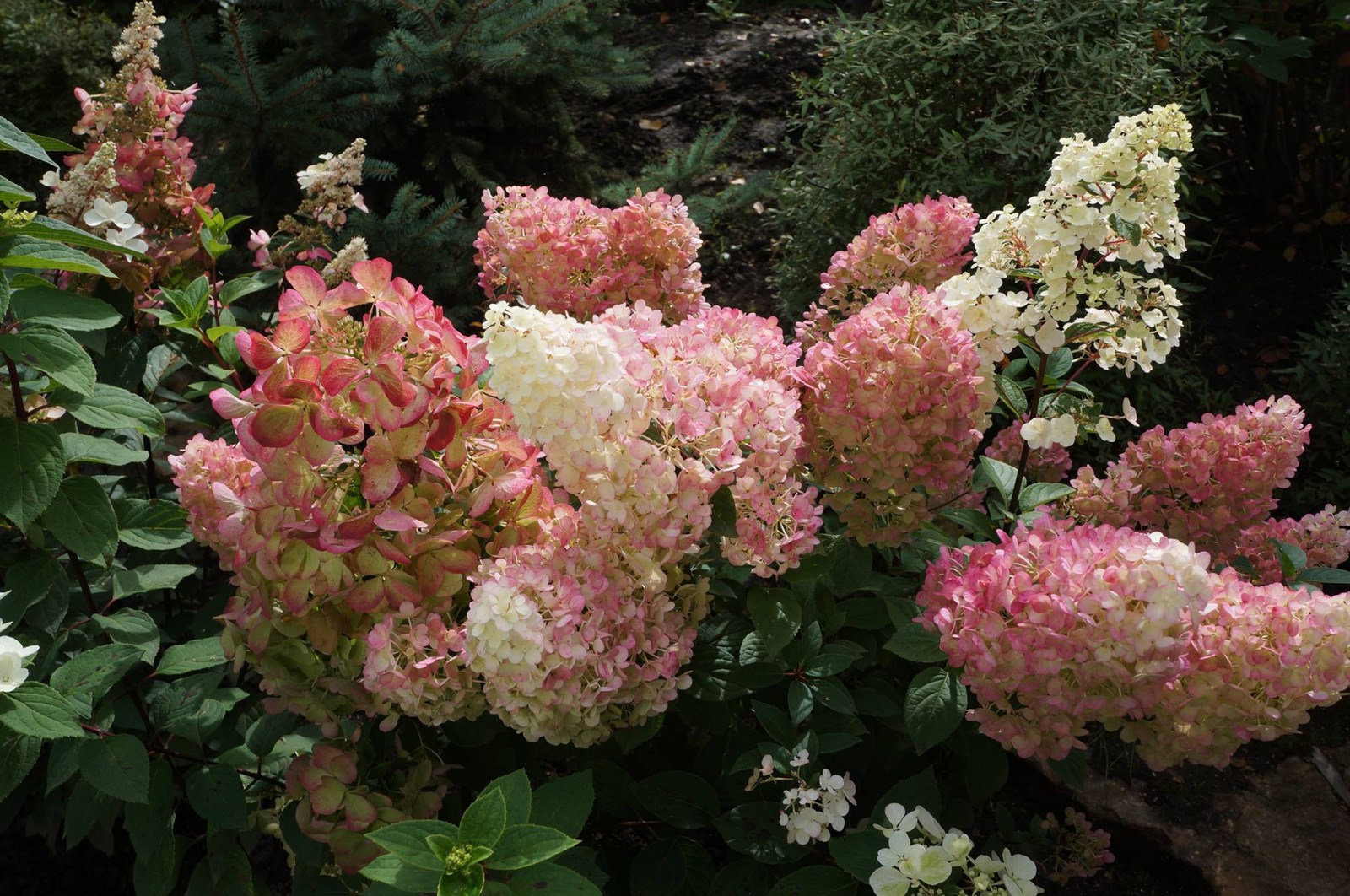 Усадьба на берегу залива