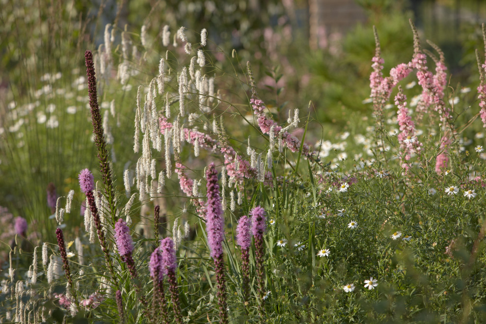 Отражение в каплях росы