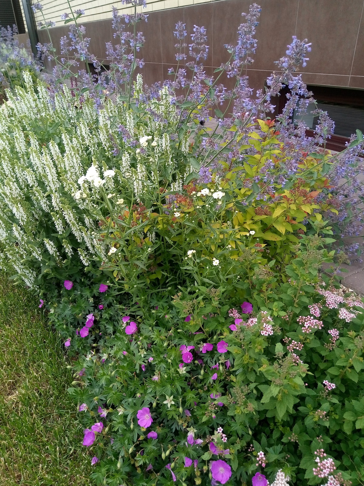 Зелёное удовольствие