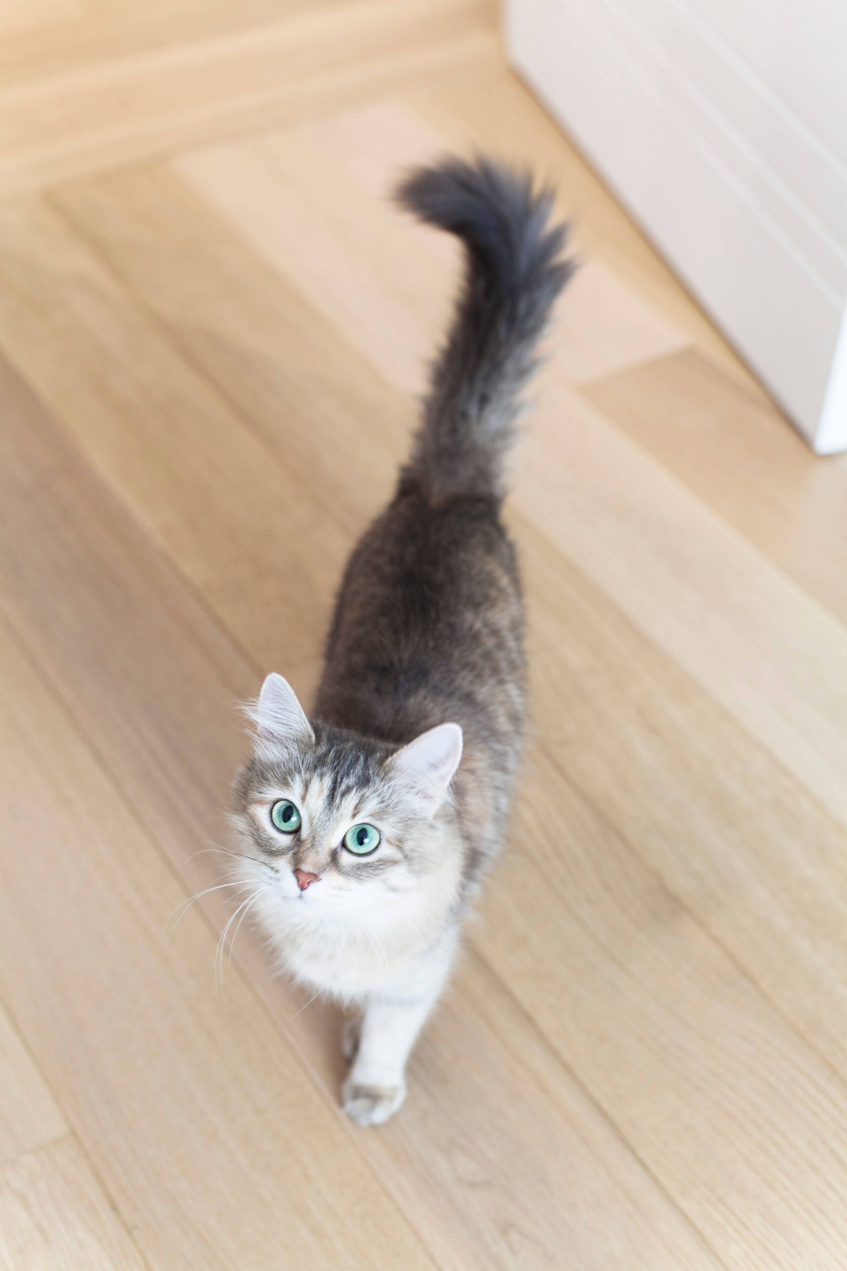 В гостях: Квартира в П-44 — c радугой и вигвамом в детской