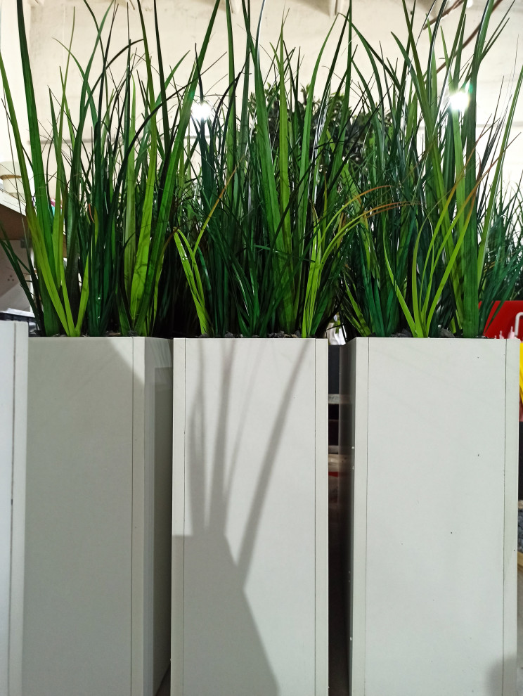 Трава осока (контейнерное озеленение)