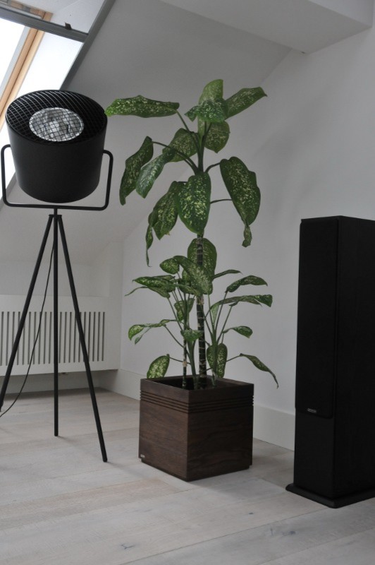 Wood panters in moden Moscow house