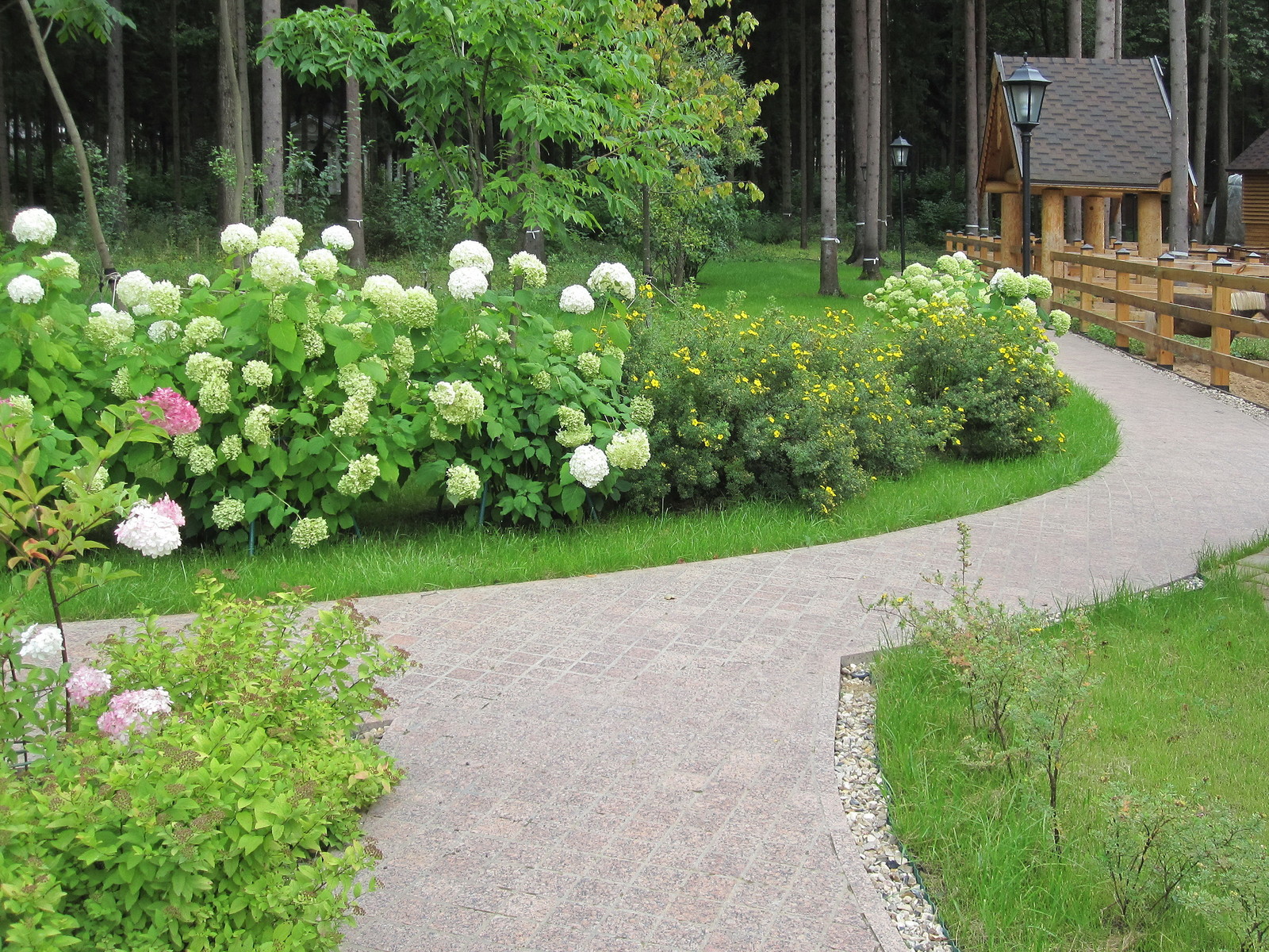 Сад в Жуковке