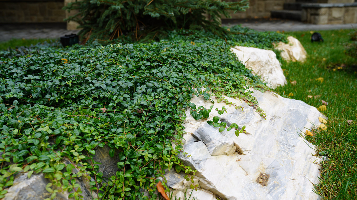 Мечта об Альпах. КП Вымпел