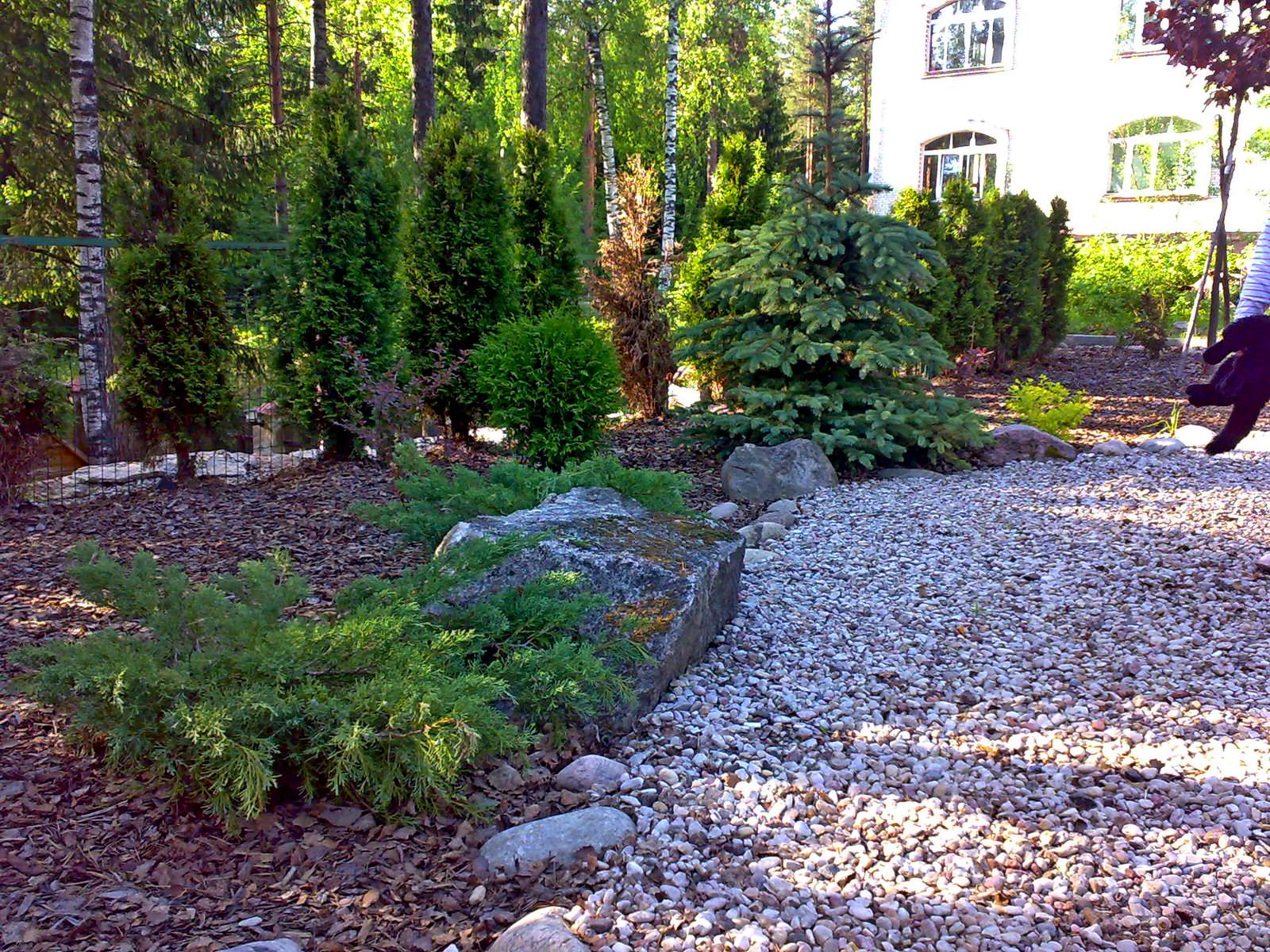 Сад с японским влиянием