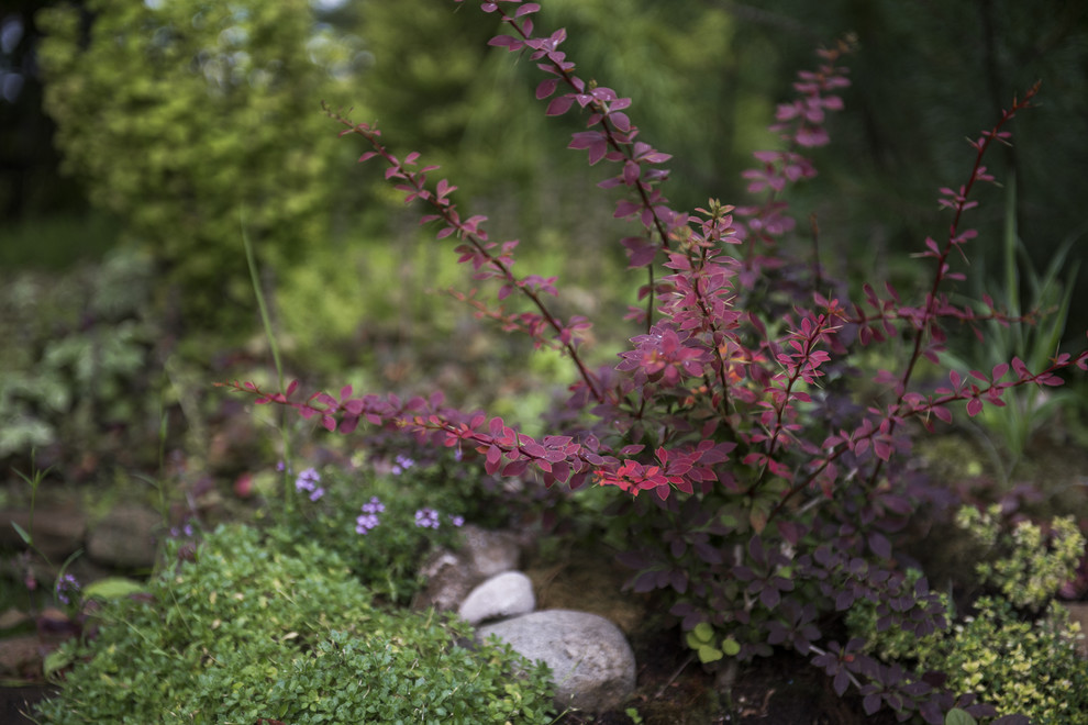 В гостях: Сад в идеальной форме... круга