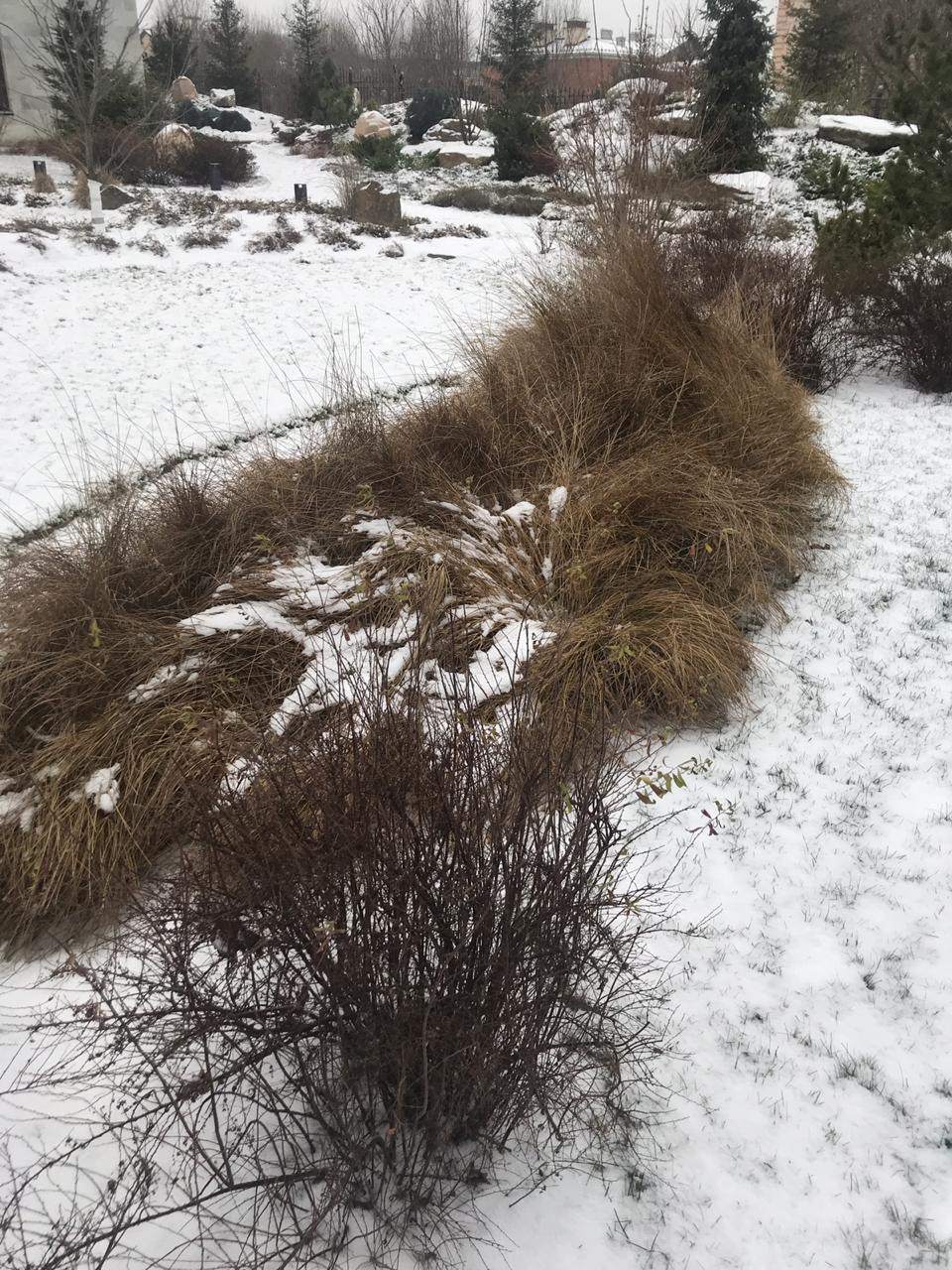 Обложка проекта: Лазурный