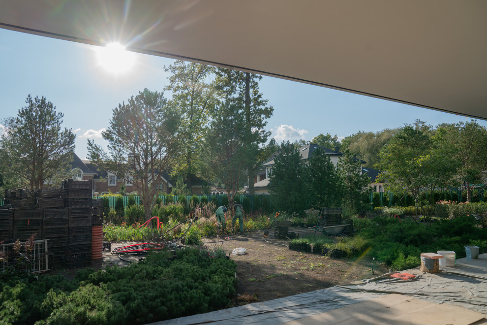 Антоновка. 30 соток. 2023 г.