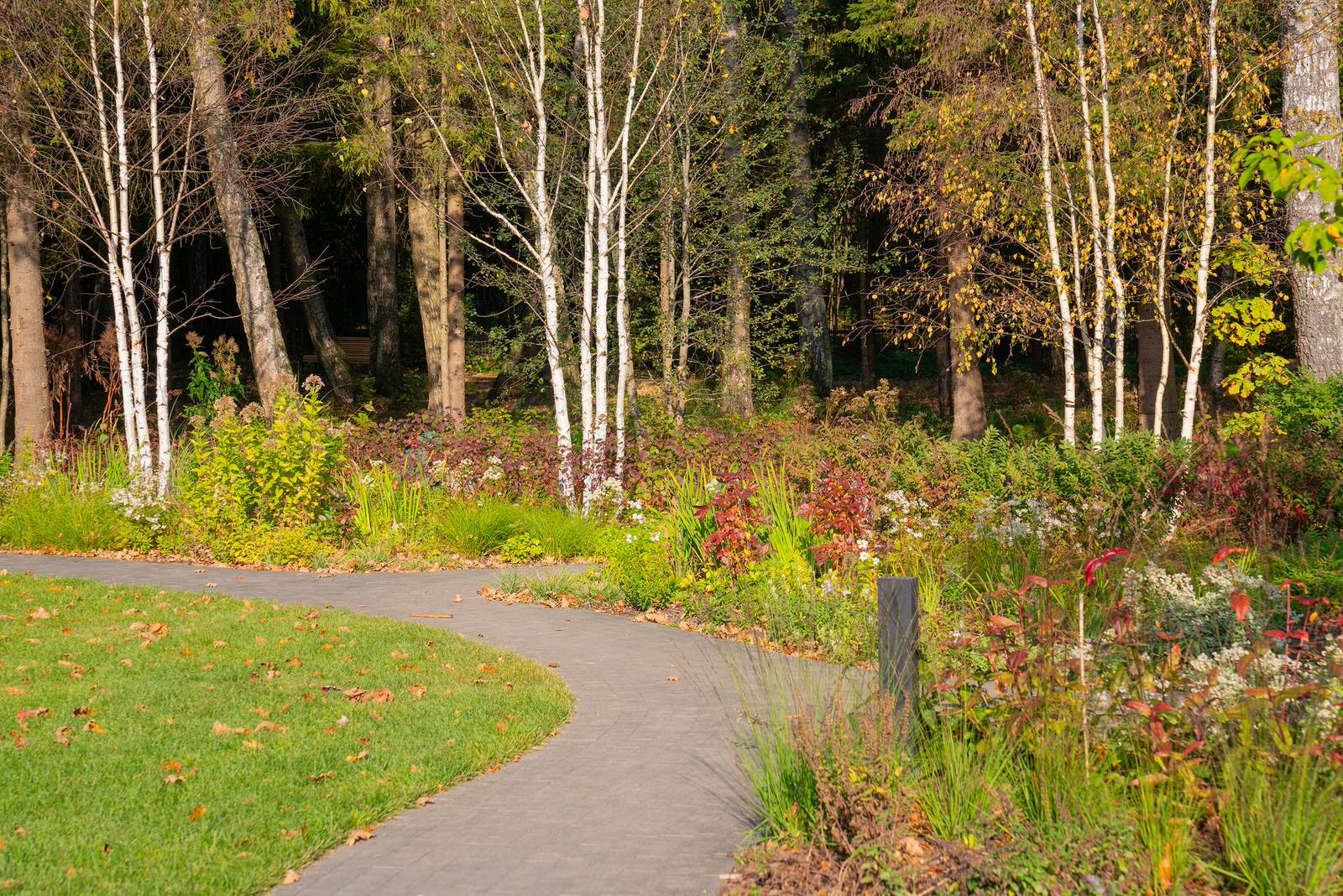 Мэдисон Парк 2022 г