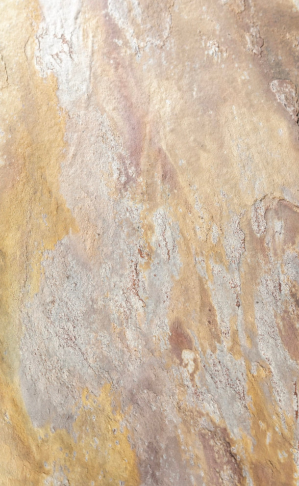 Обложка проекта: Indian Autumn