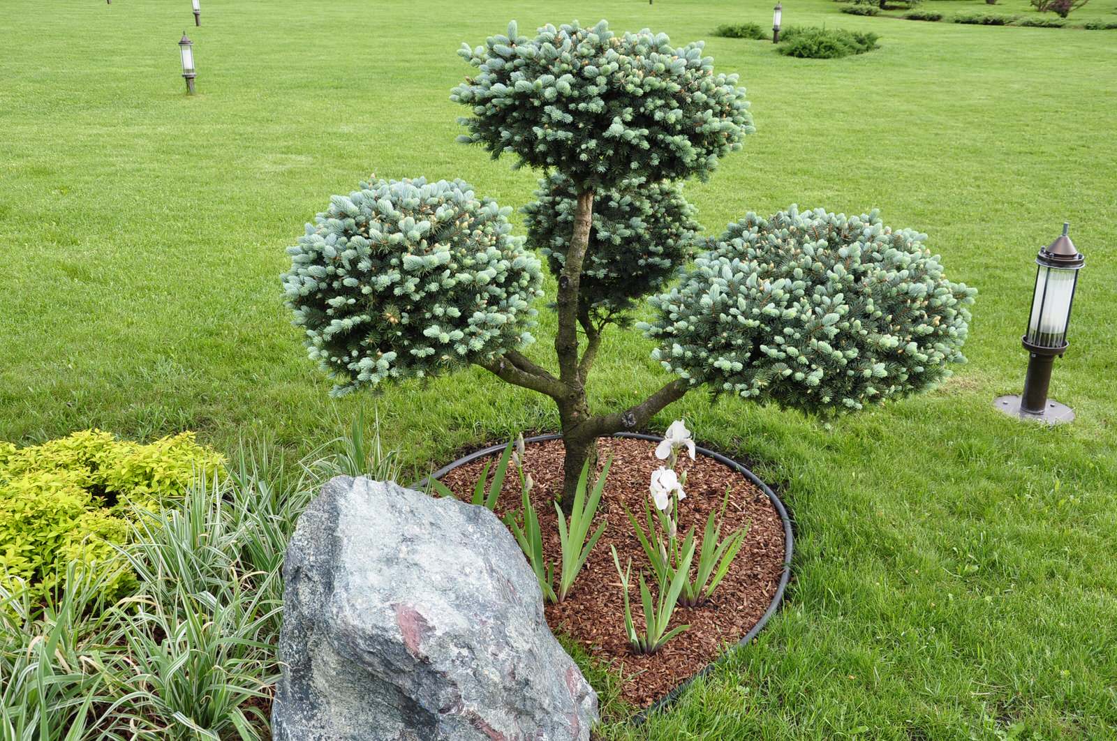 кп "Папушево" - Профессиональный уход за садом - 100% качество!