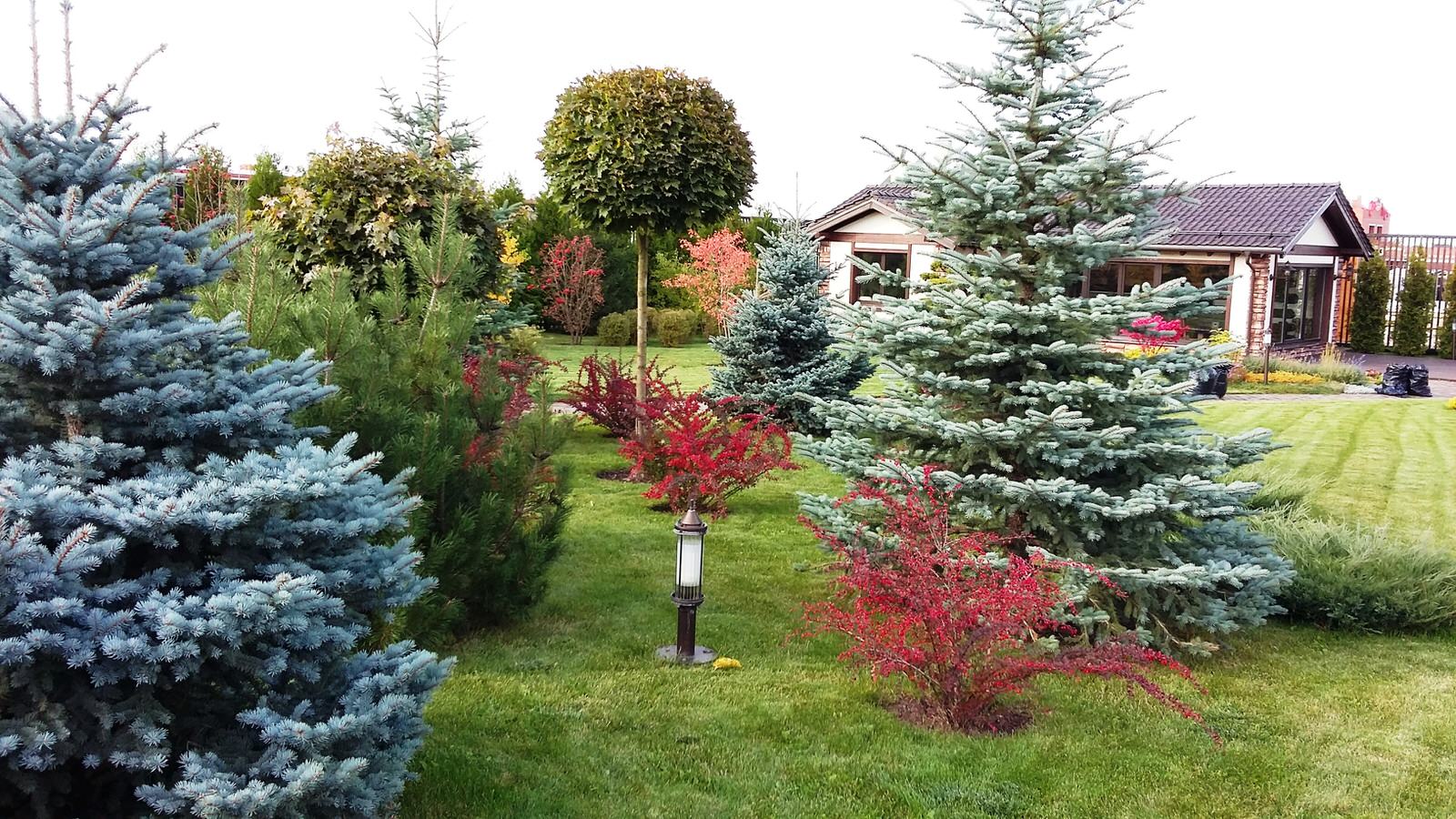 кп "Папушево" - Профессиональный уход за садом - 100% качество!