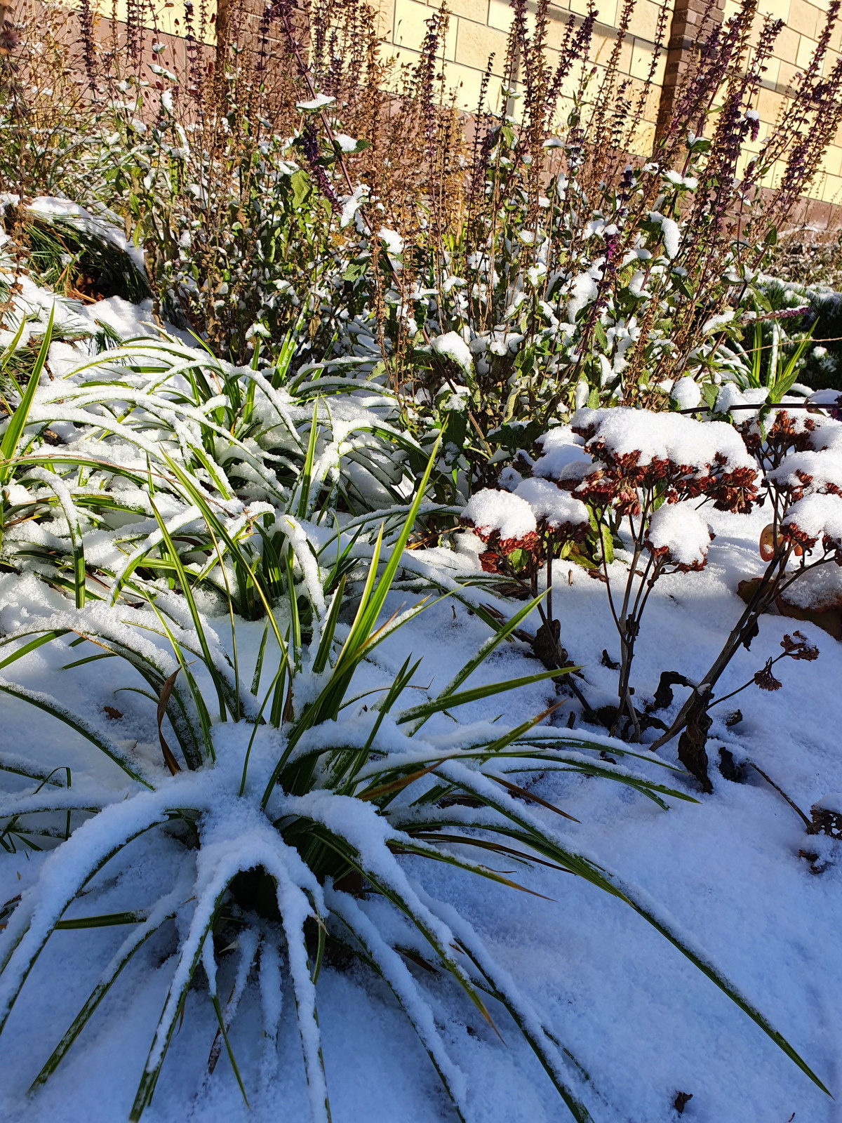 Частный сад в Самарской области