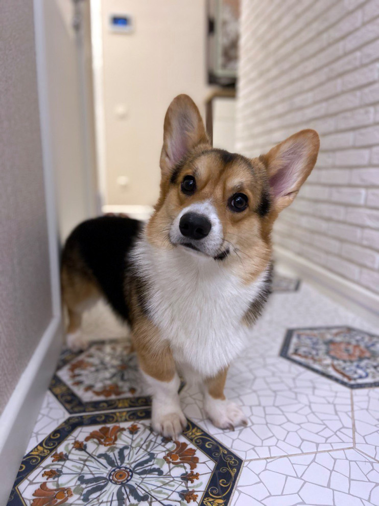 Тёплый Стан