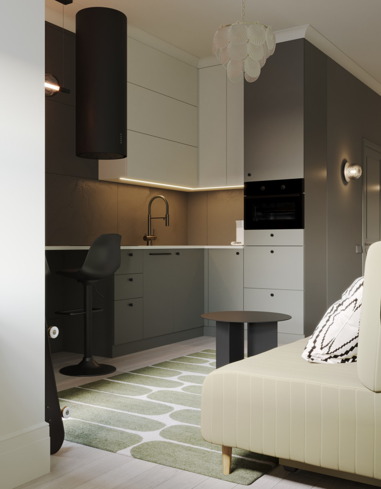 Студия 25 квадратных метра