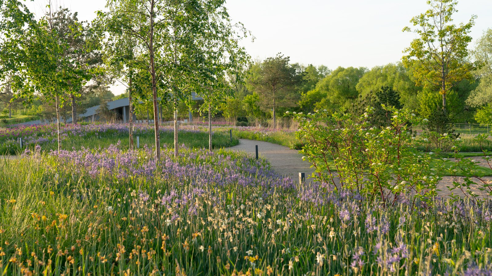 Природный сад. Жуковка XXI век. 2017-2018 гг.