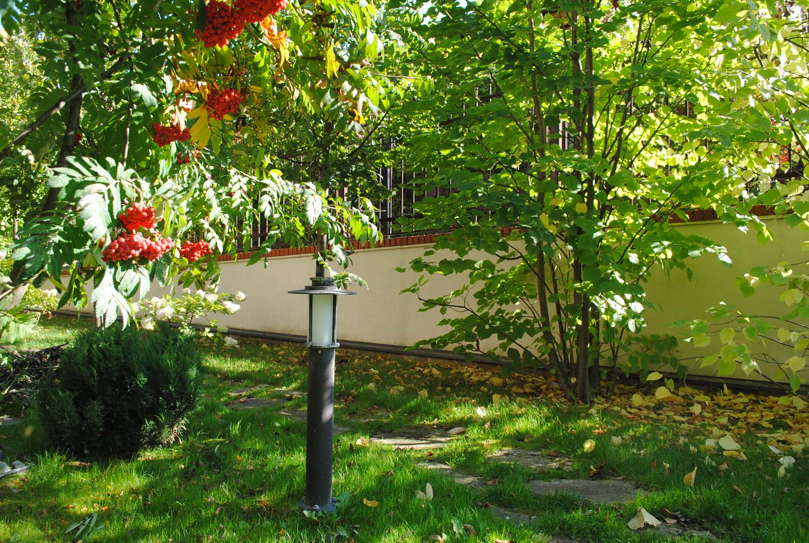 Осенний лес.Дмитровское шоссе