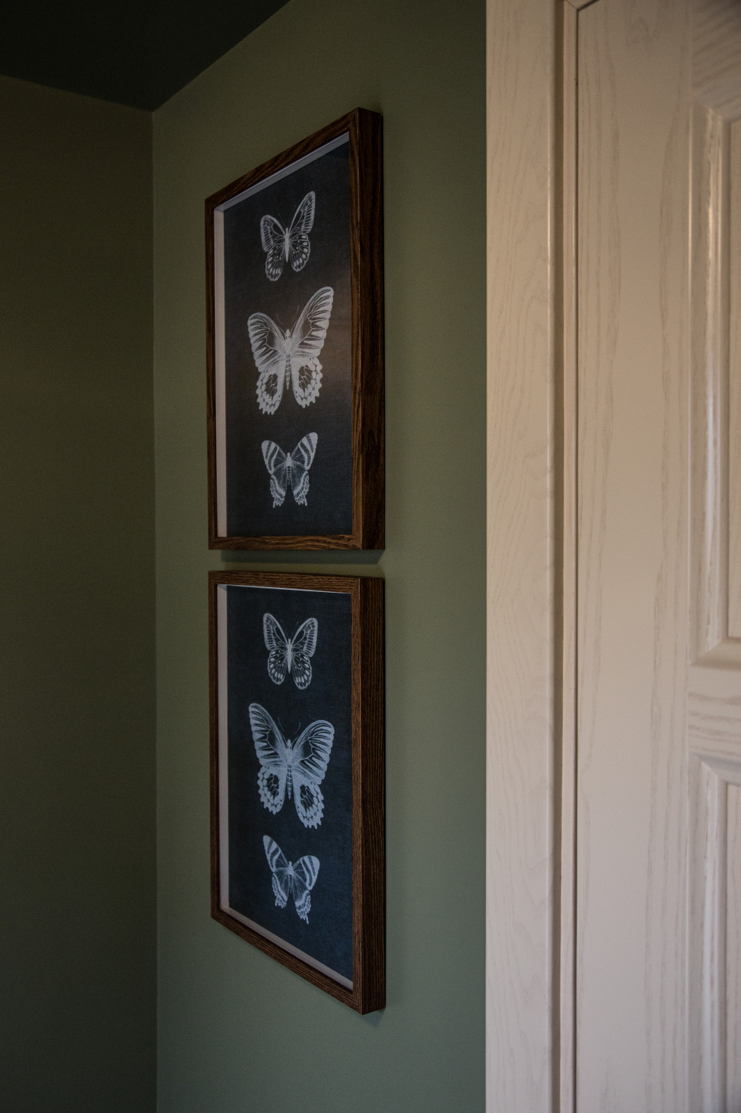 Социальный проект