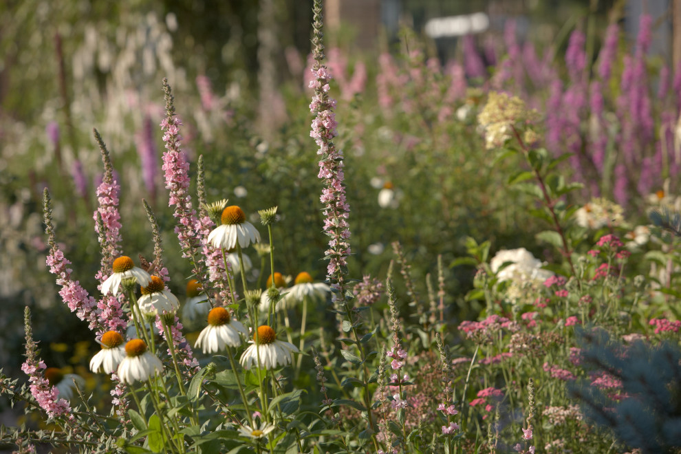 Отражение в каплях росы