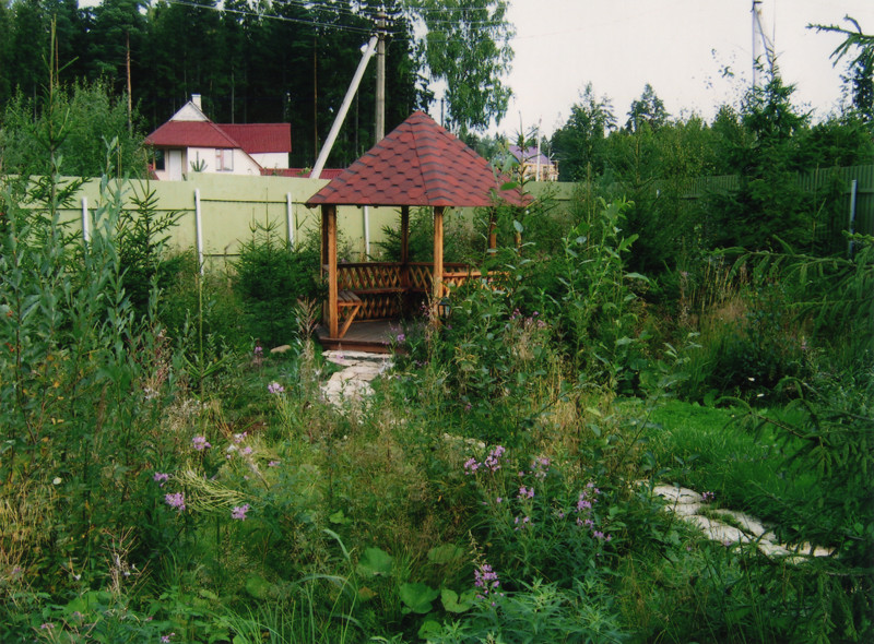 Озеленение