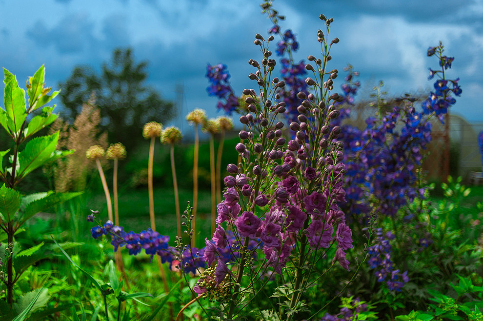 Романтический сад