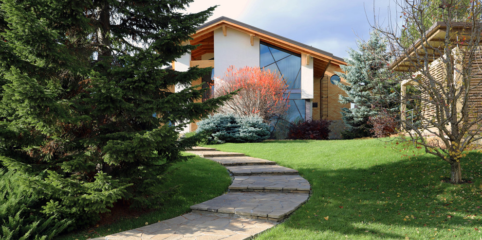 Обложка проекта: Сад с большими пихтами