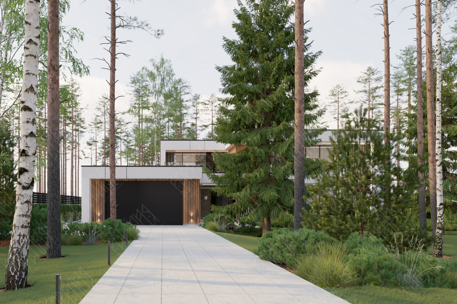 Обложка проекта: PINE FOREST