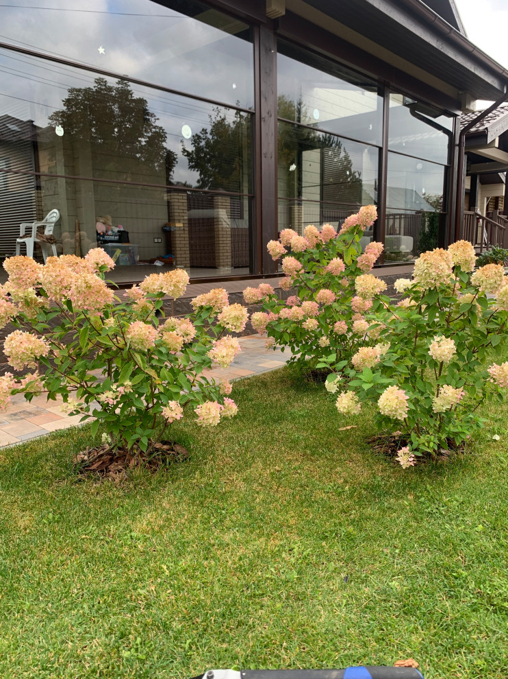 Сад Светлый Красная Пахра