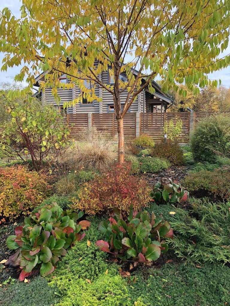 ЯГОДНОЕ ЛУКОШКО. ОСЕНЬ 2018