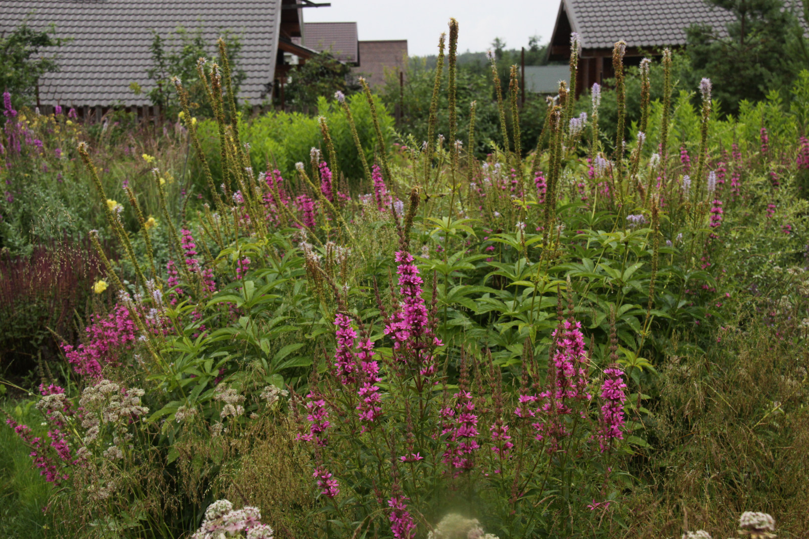 Обложка проекта: Сад "Три плюс два"