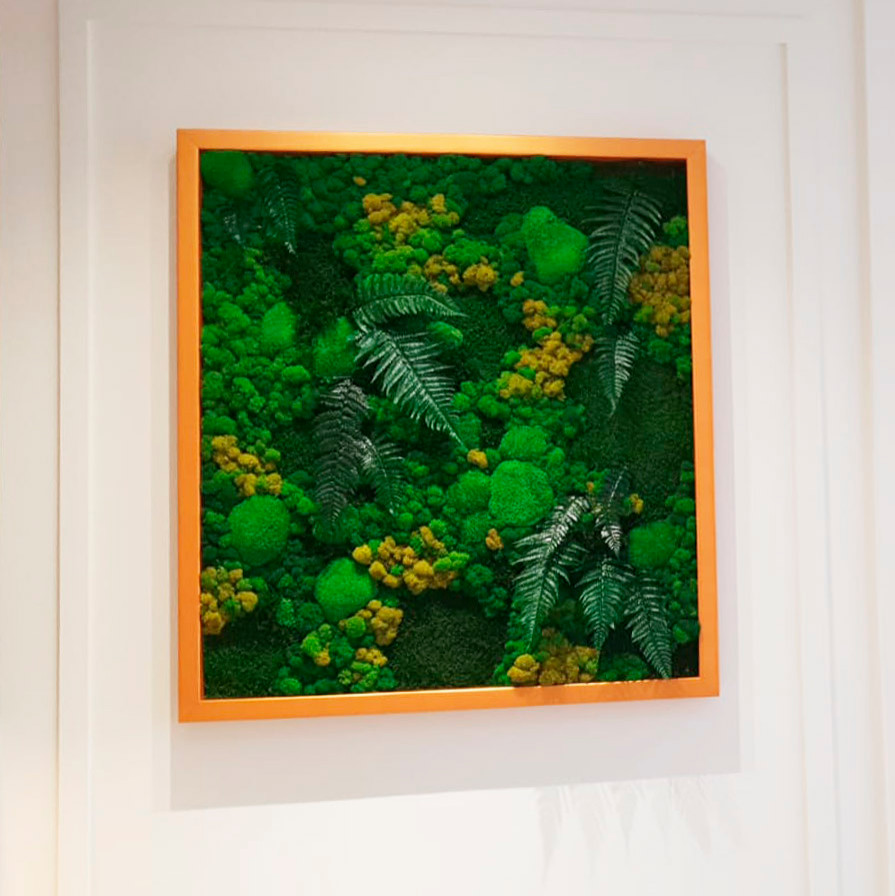 Картина из стабилизированных растений и мха